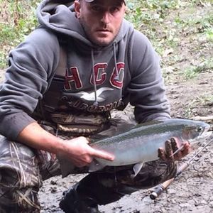 Meet your Posher, Jarred